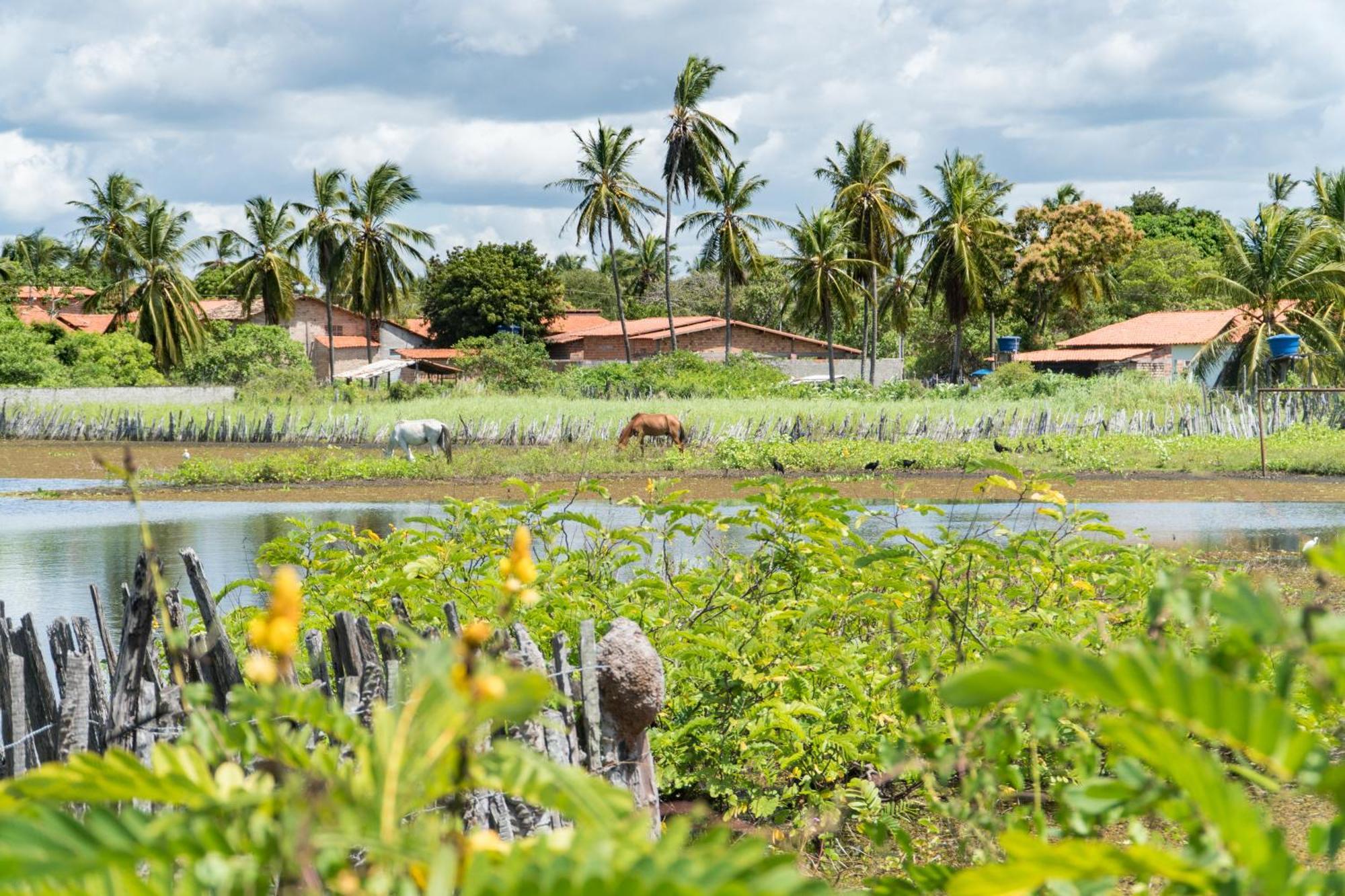 Vila Do Junco Santo Amaro do Maranhao Exterior photo